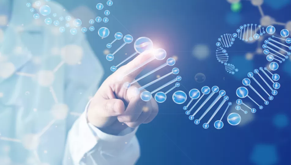 The Application of Ultrasonic Technology in Biological Research Experiments