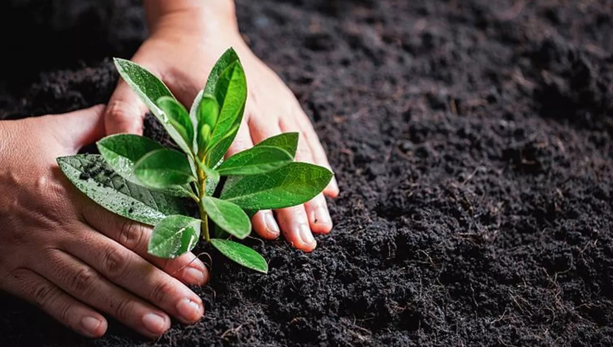 Environmental Protection